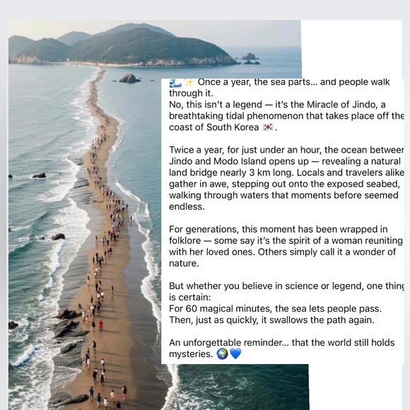 - #7 Follow Game 🐾🐶 - Picture 11 of 16